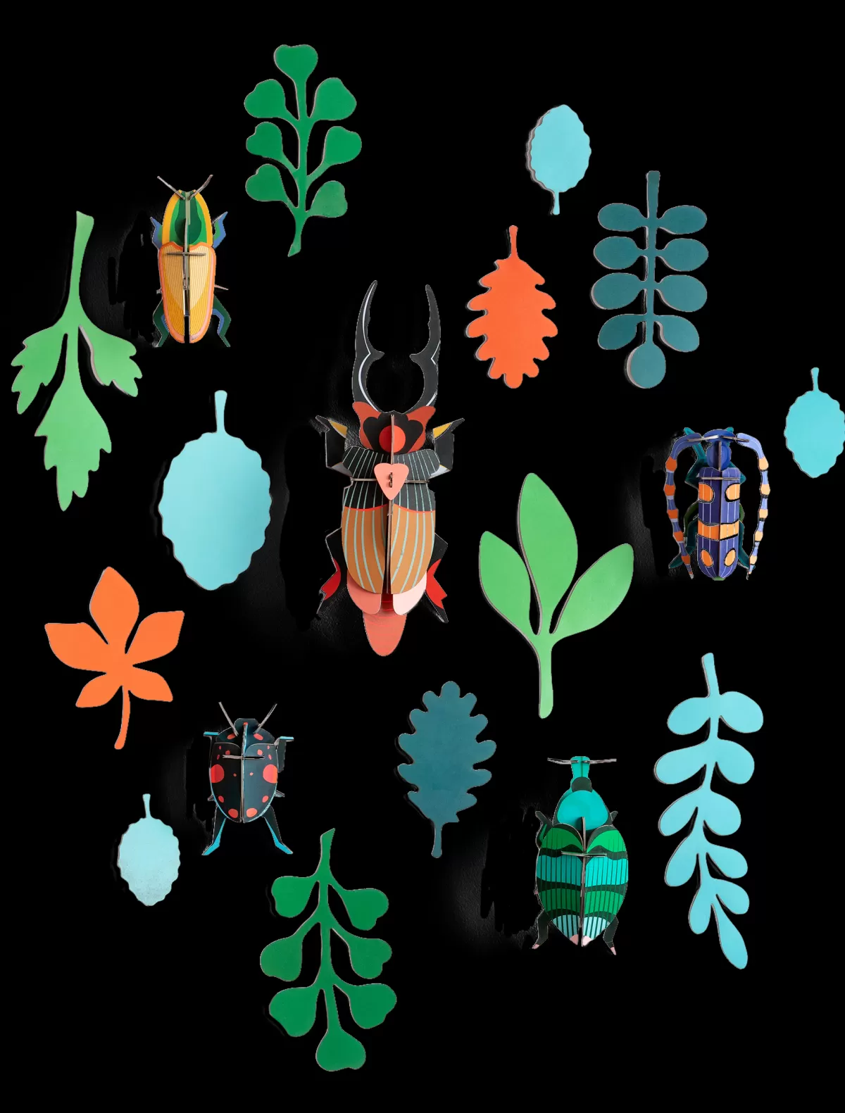 Studio ROOF Beetles | Wall Of Curiosity-Beetle Antiquary