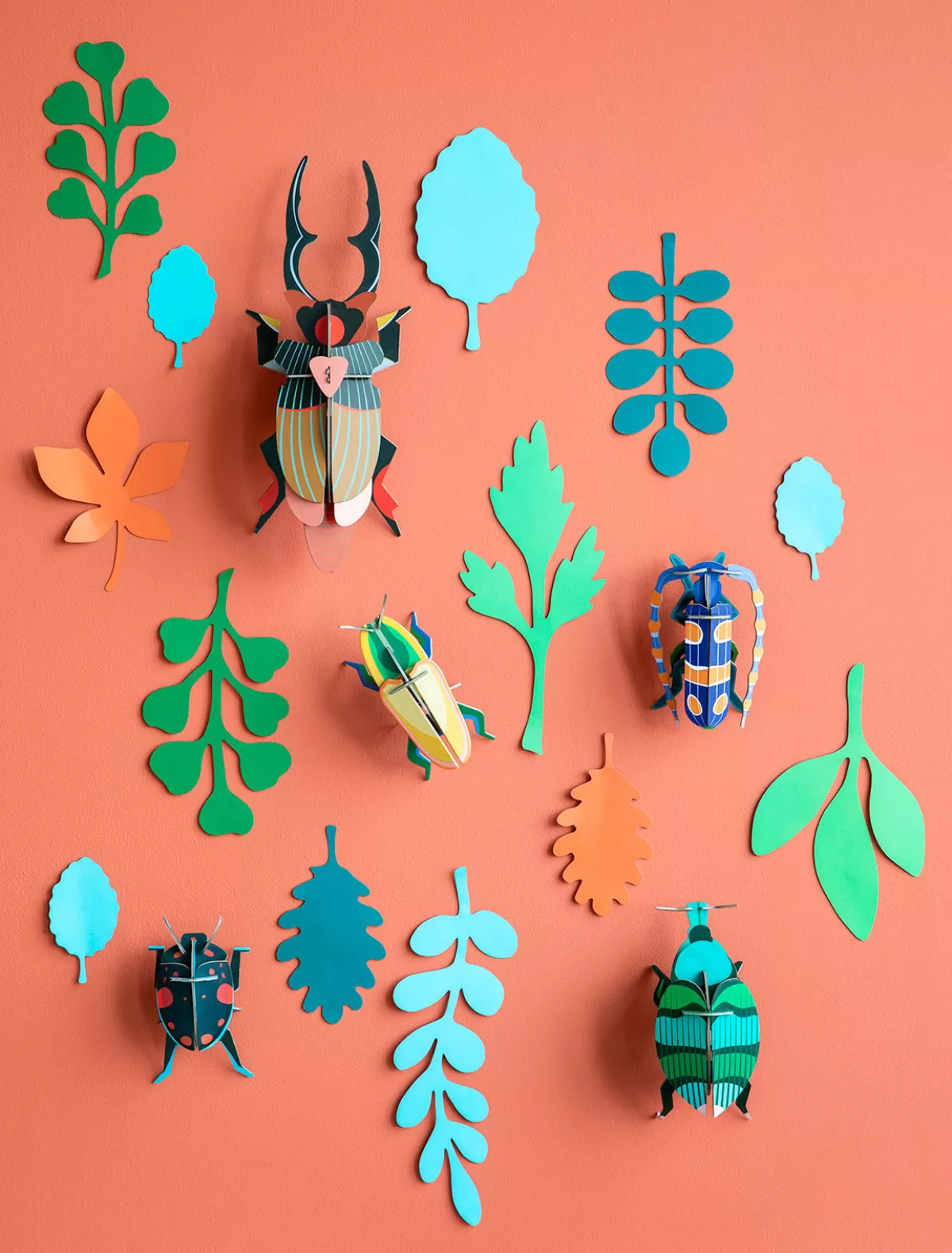 Studio ROOF Beetles | Wall Of Curiosity-Beetle Antiquary