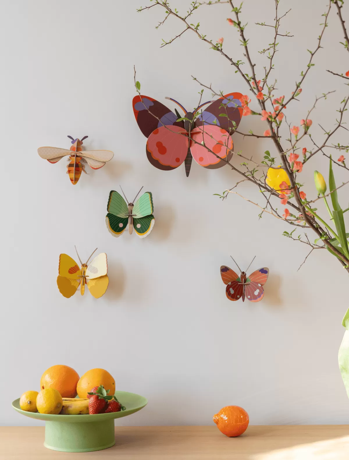 Studio ROOF Butterflies | Butterflies-Fern Striped Butterfly