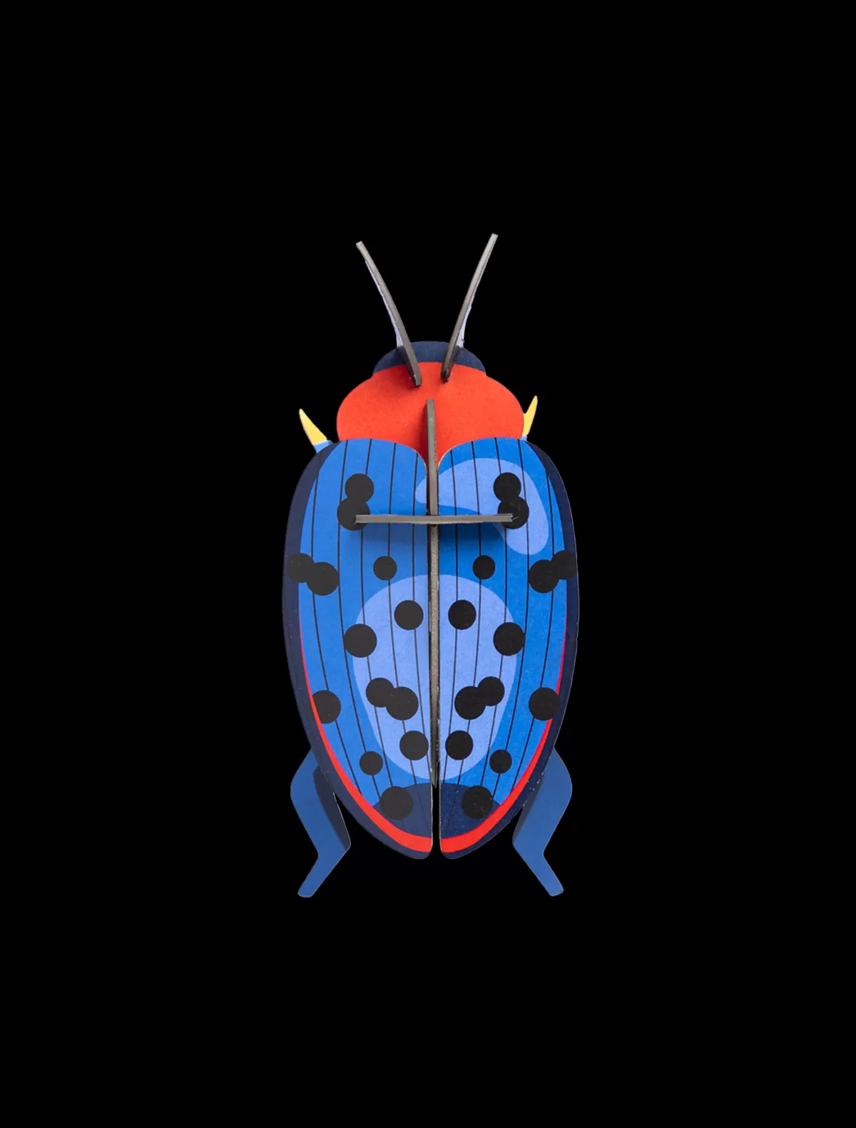 Studio ROOF Beetles | Beetles-Fungus Beetle