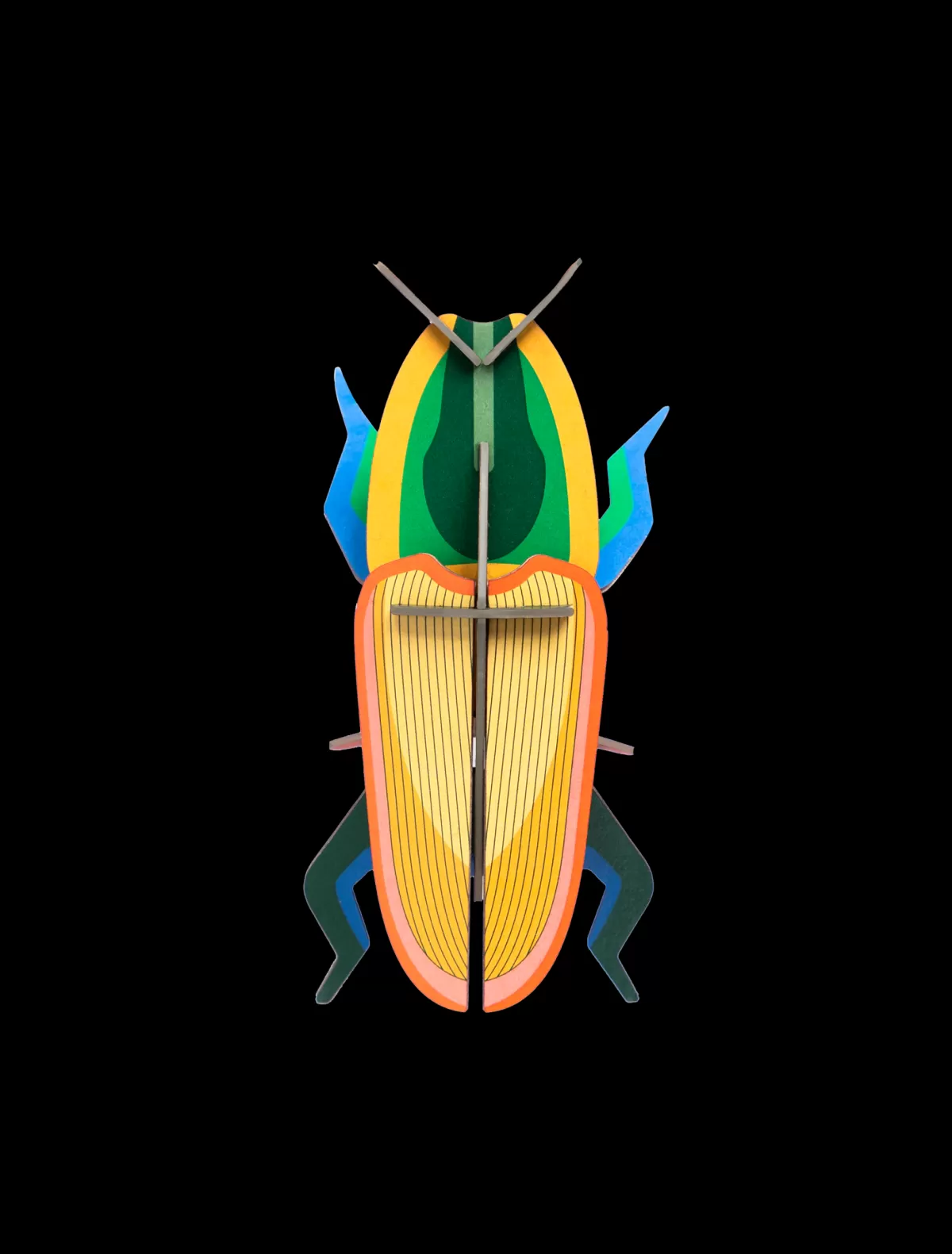 Studio ROOF Beetles | Beetles-Madagascar Beetle