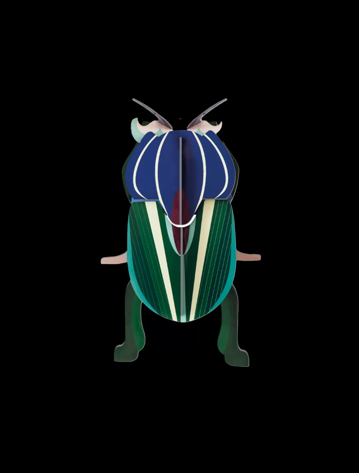 Studio ROOF Beetles | Beetles-Mimela Scarab Beetle