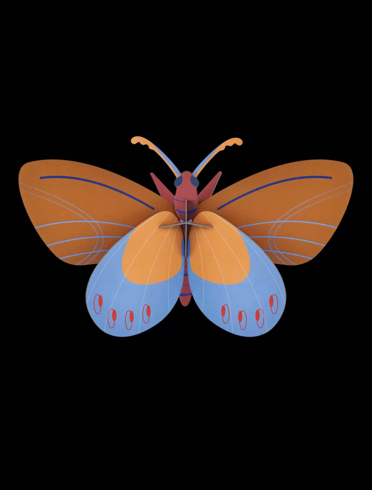 Studio ROOF Butterflies | Butterflies-Ochre Costa Butterfly