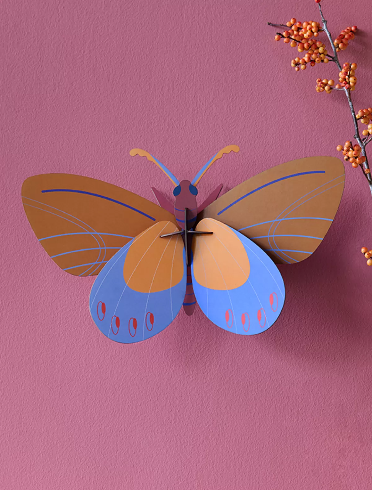 Studio ROOF Butterflies | Butterflies-Ochre Costa Butterfly