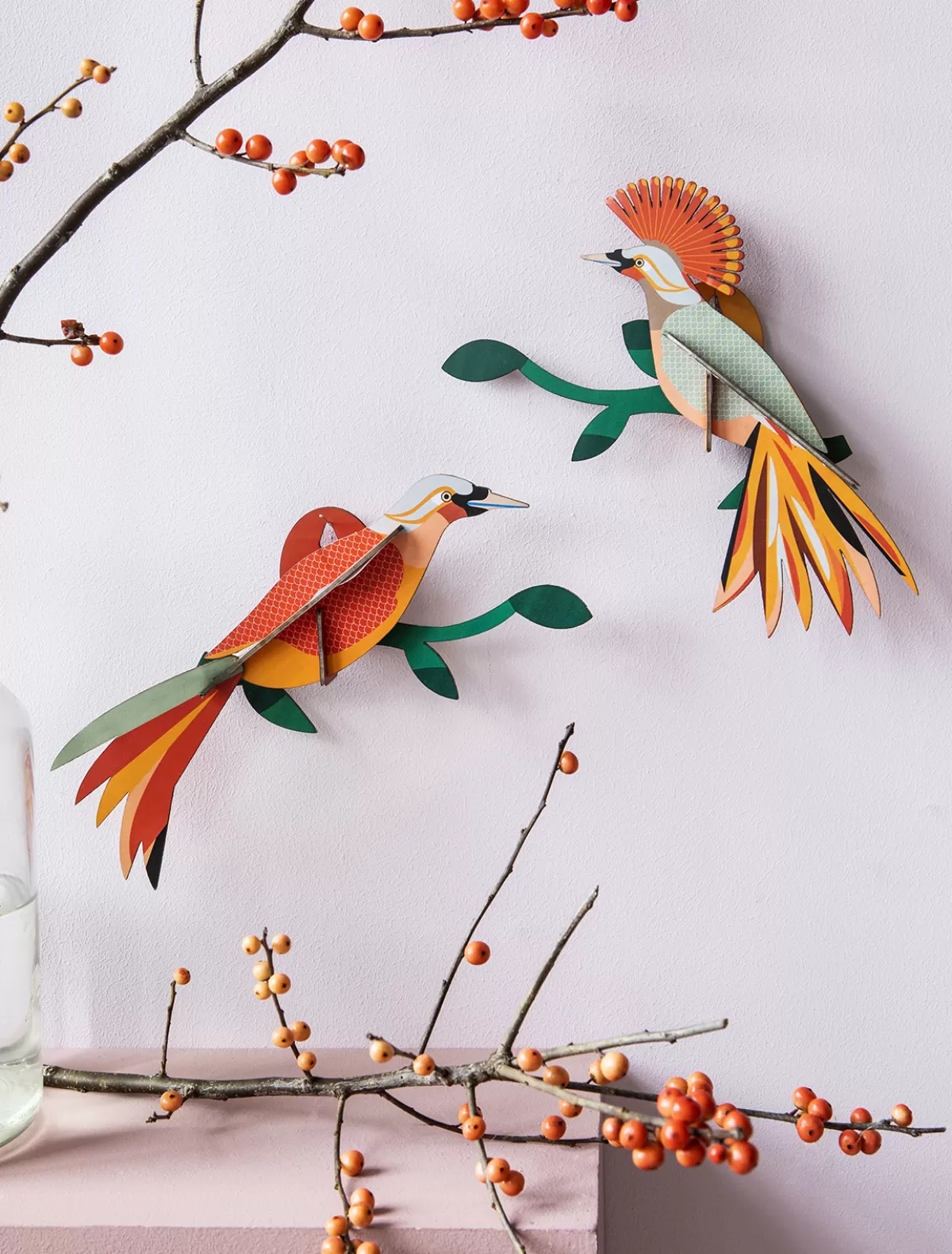 Studio ROOF Birds | Paradise Birds-Paradise Bird, Obi