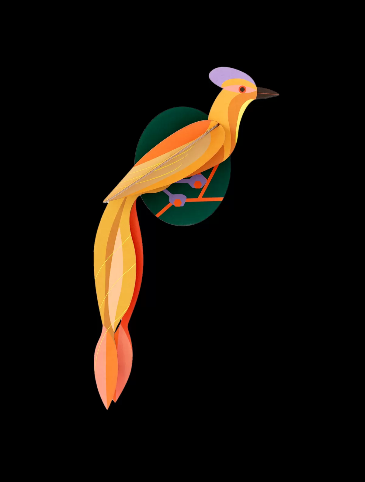 Studio ROOF Birds | Paradise Birds-Paradise Bird, Olango