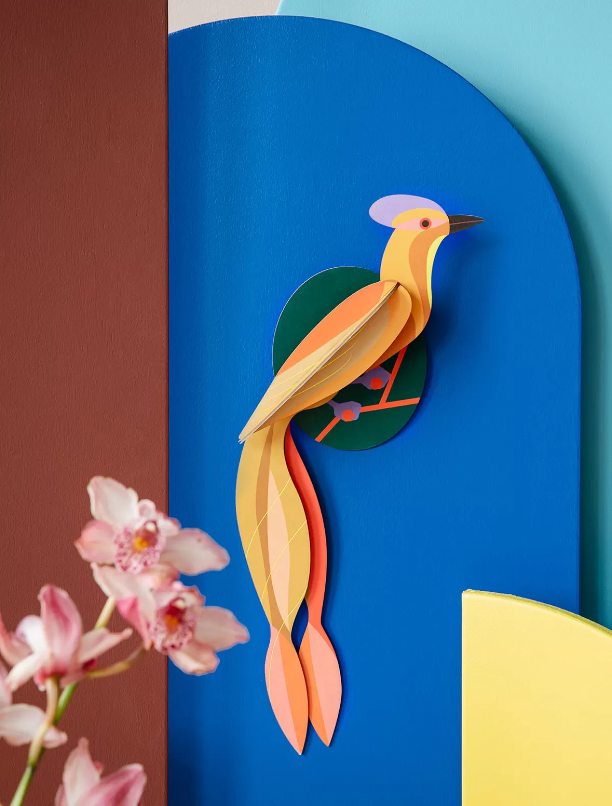 Studio ROOF Birds | Paradise Birds-Paradise Bird, Olango