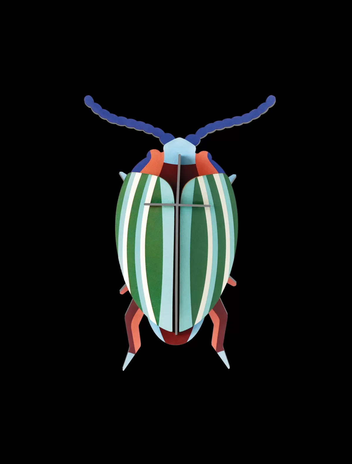 Studio ROOF Beetles | Beetles-Rainbow Leaf Beetle