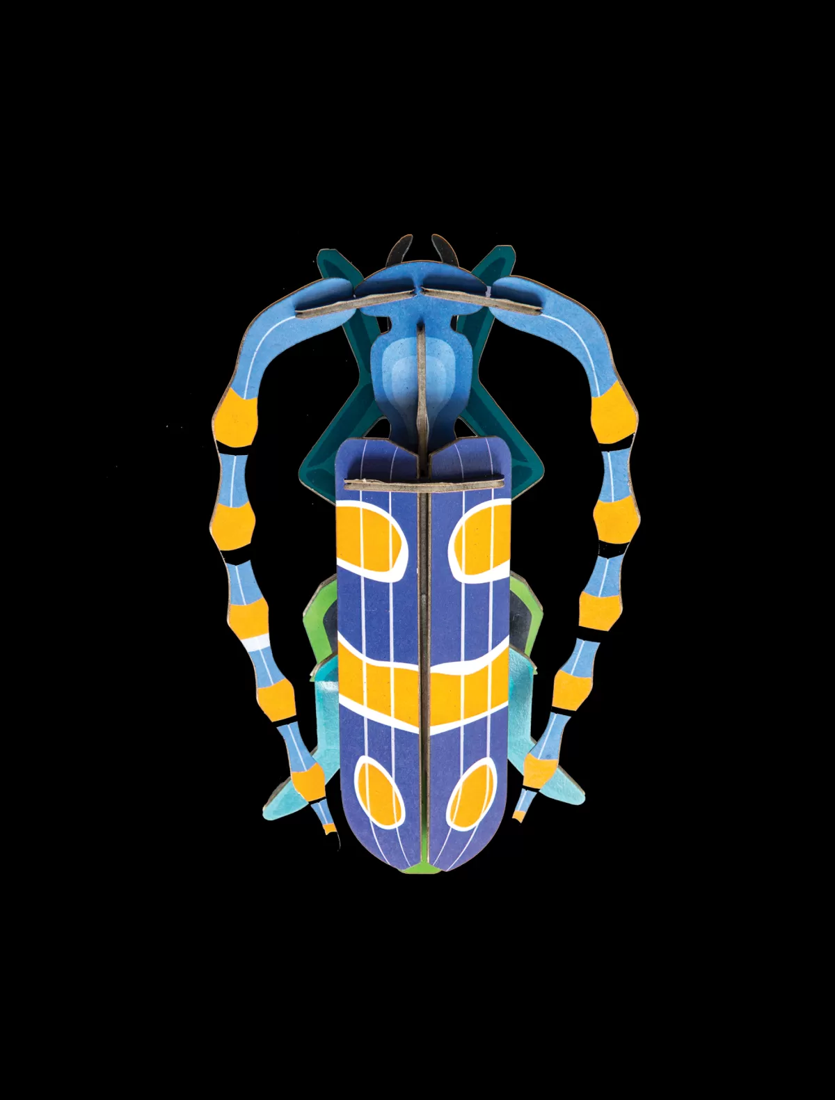 Studio ROOF Beetles | Beetles-Rosalia Beetle