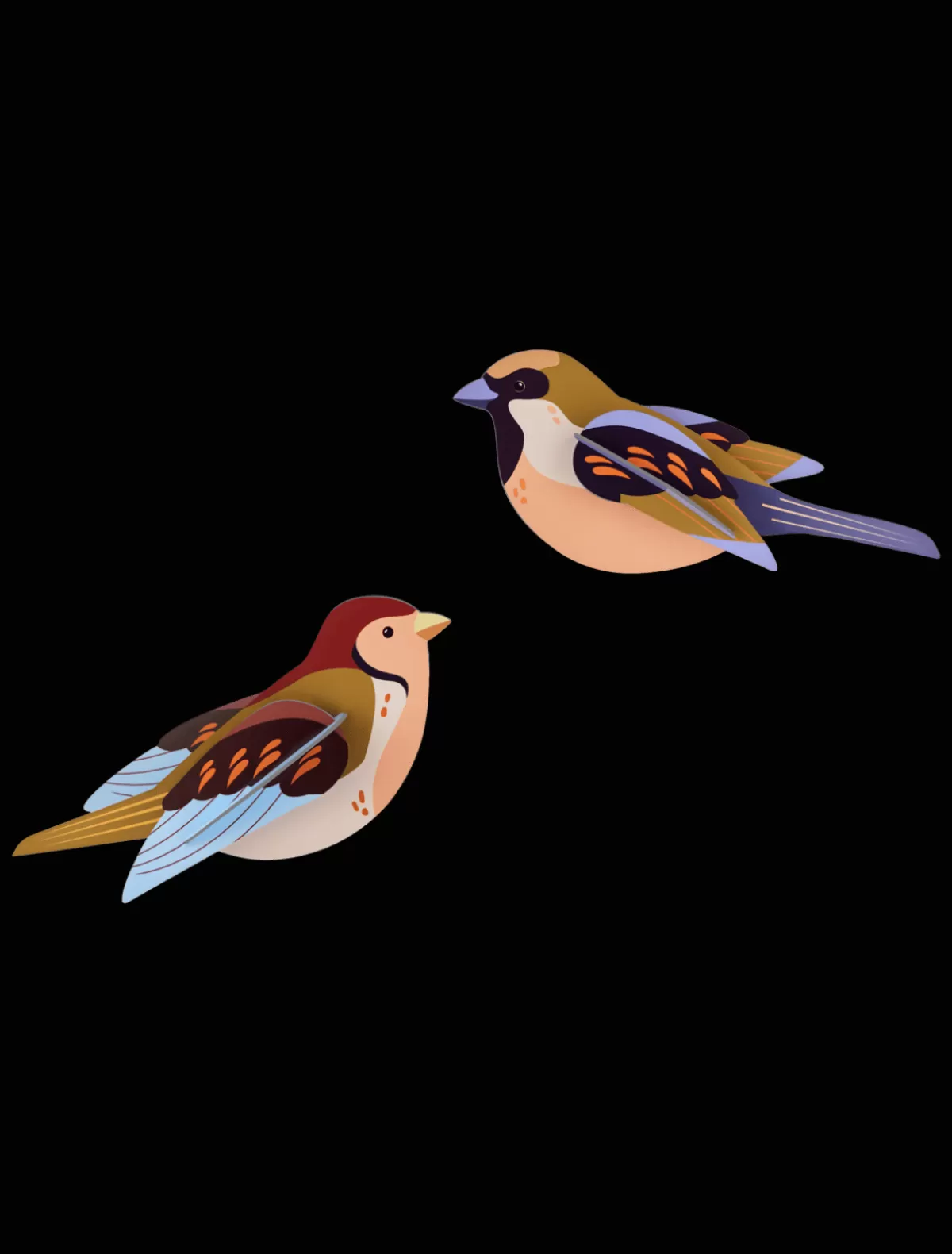 Studio ROOF Birds | Garden Birds-Sparrows