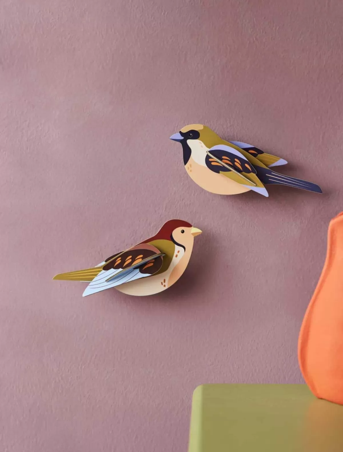 Studio ROOF Birds | Garden Birds-Sparrows