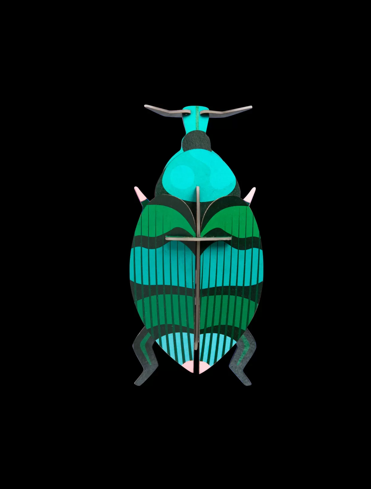 Studio ROOF Beetles | Beetles-Weevil beetle