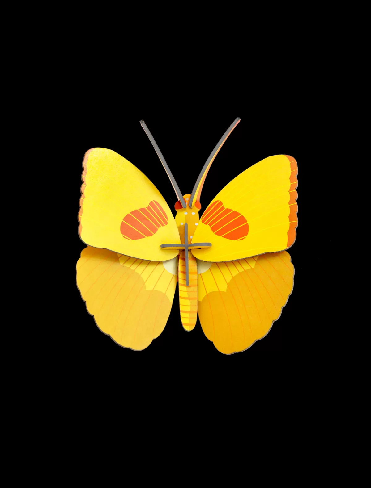 Studio ROOF Butterflies | Butterflies-Yellow Butterfly